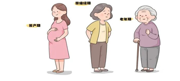 女性卒中三大高风险期，科学护脑指南请查收